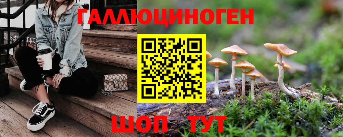 Междуреченск  Галлюциногенные грибы MAGIC MUSHROOMS  Вход с VPN  Псилоцибиновые грибы Magic Shrooms 